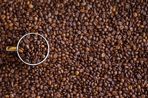 How to Store Roasted Coffee Beans for Optimal Freshness