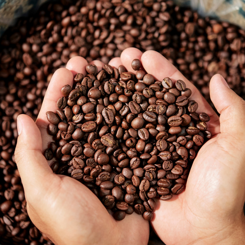 Coffee Storage Tips: How Long Do Coffee Beans Last?
