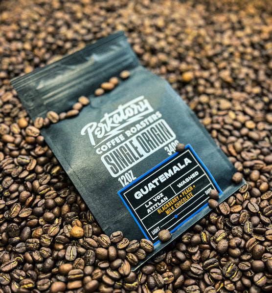 Guatemala La Voz Atitlan 12oz – Perkatory Coffee Roasters
